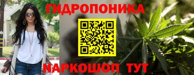 кокс Славгород