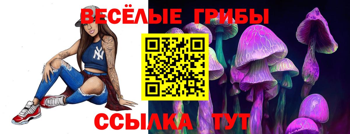 Псилоцибиновые грибы Psilocybe  Вход с VPN  Кореновск  Псилоцибиновые грибы Psilocybe 